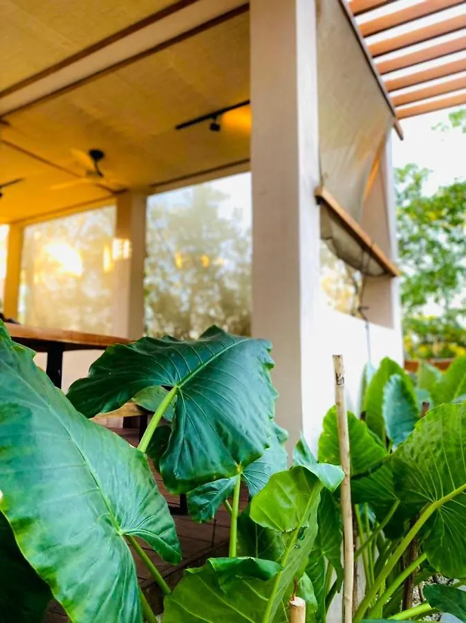 Guest house Casa Milu - Holbox Hotel Mexico